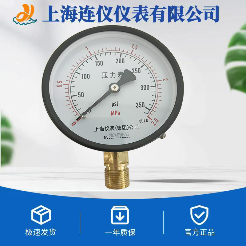 压力表规格型号各项参数，精准挑选并使用压力表入门指南