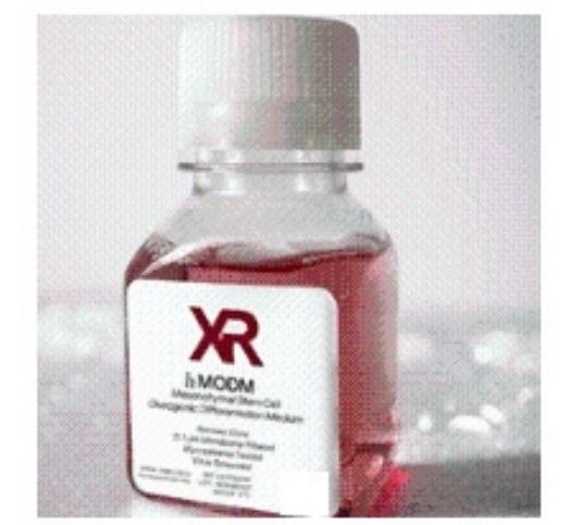 无血清干细胞培养基：开启MSCs标准化培养与临床转化的新纪元