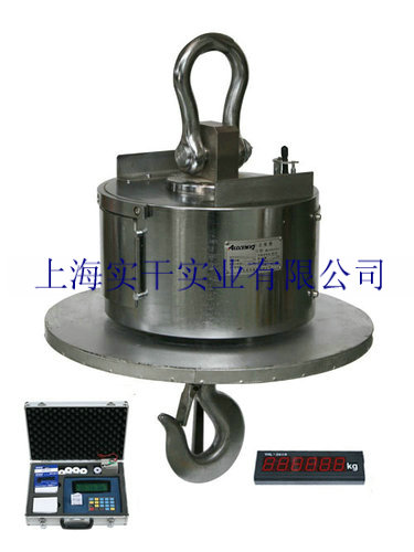30T無線電子吊秤圖片