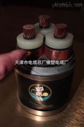 MYJV22-8.7/10KV-3*70煤矿用高压铠装电力电缆