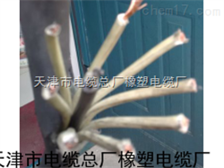 YC-J升降机橡胶软电缆3*50+1*16MM2