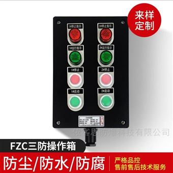 BZC8060-A4D4工程塑料非标定制防爆操作箱