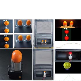 10068采集橘子400-1000nm透射+反射光譜數(shù)據(jù)