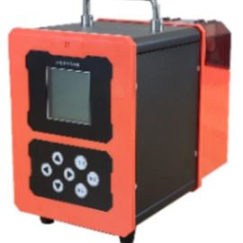 XZ-2051双路烟气采样器 固定污染源颗粒物采样