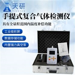 TY-LF系列便携式多功能气体检测仪