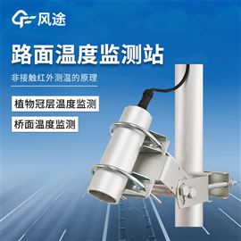 FT-LMWD1路面温度监测站