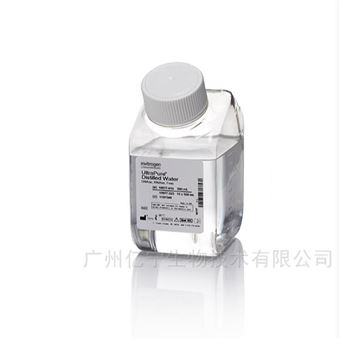 10977023DNase/RNase-Free Distilled Water 蒸餾水
