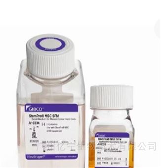 A1033201CTS StemPro MSC SFM培養基