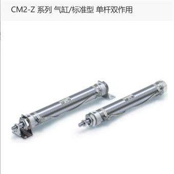 CDM2B20-125Z-M9N日本SMC标准气缸