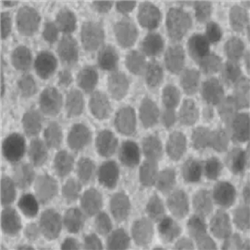 SeNPs，硒纳米颗粒