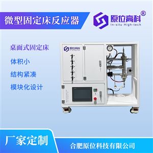 微型固定床反应器 催化剂评价装置定制厂家