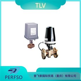TLV/日本流体控制设备电球蝶阀MB12BF