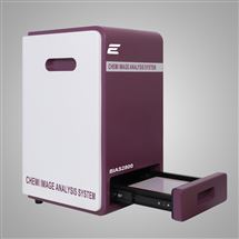 BIAS2800化學發光成像儀