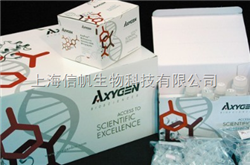 人早老素2（PS-2）ELISA Kit