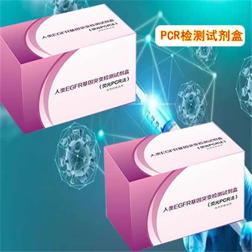 诺如病毒GII型（NV-GII）荧光PCR试剂盒