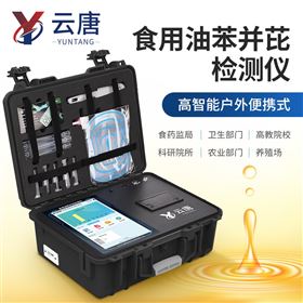 YT-GB3腐败油综合检测仪器