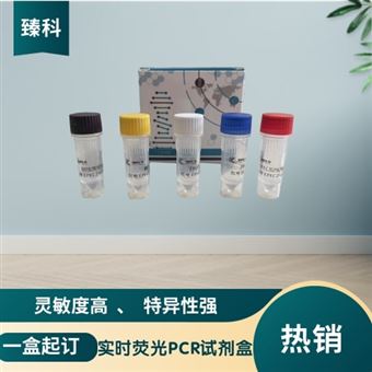 50T禽流感病毒H5亚型(AIV-H5)PCR检测试剂盒