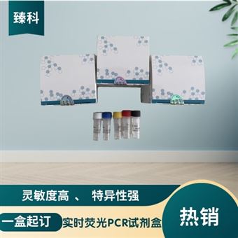 50T禽流感病毒H7亚型(AIV-H7)PCR检测试剂盒