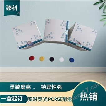 50T禽流感病毒N2亚型(AIV-N2)PCR检测试剂盒
