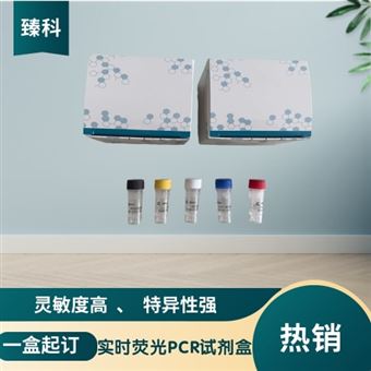 50T禽流感病毒通用型(AIV-U)PCR检测试剂盒