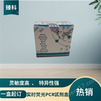 50T禽网状内皮组织增殖病病毒(REV)PCR试剂盒