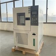 GT-BIR-45M可程式恒温恒湿试验箱