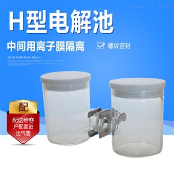CH2010-SH型电解池