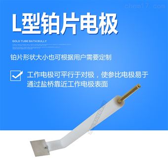L-Pt210~L-Pt224L型铂片电极