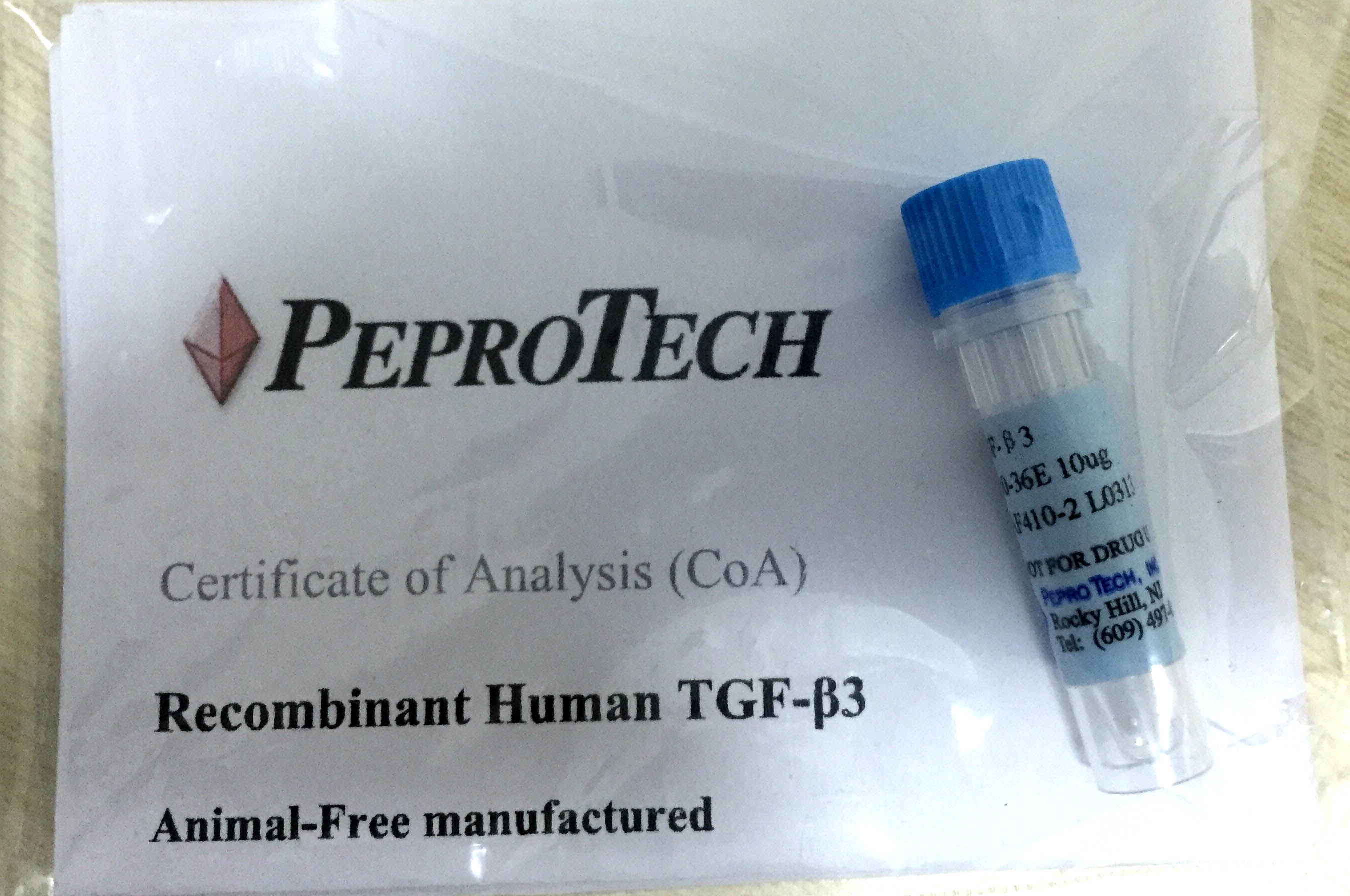 合金最新资讯-快科技--科技改变未来