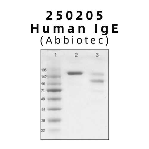 免疫學實驗的“穩定器”：Abbiotec Human IgE全解析