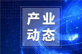 《场景化、图谱化推进重点行业数字化转型的参考指引(2025 版)》发布