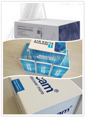 小鼠克拉拉細胞蛋白（CC16）ELISA Kit