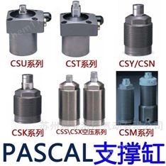 PASCAL油缸CTV10B-R CTV11B-R CTV10B-L