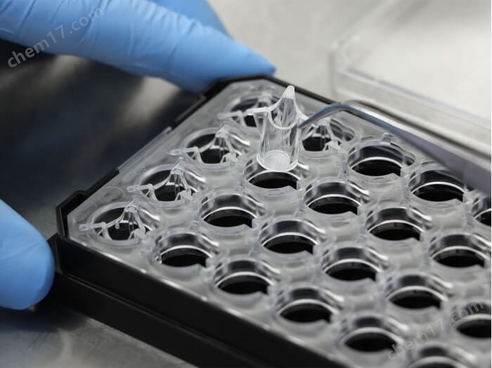 1.jpg 多孔膜細(xì)胞培養(yǎng)小室專用共聚焦24孔培養(yǎng)板