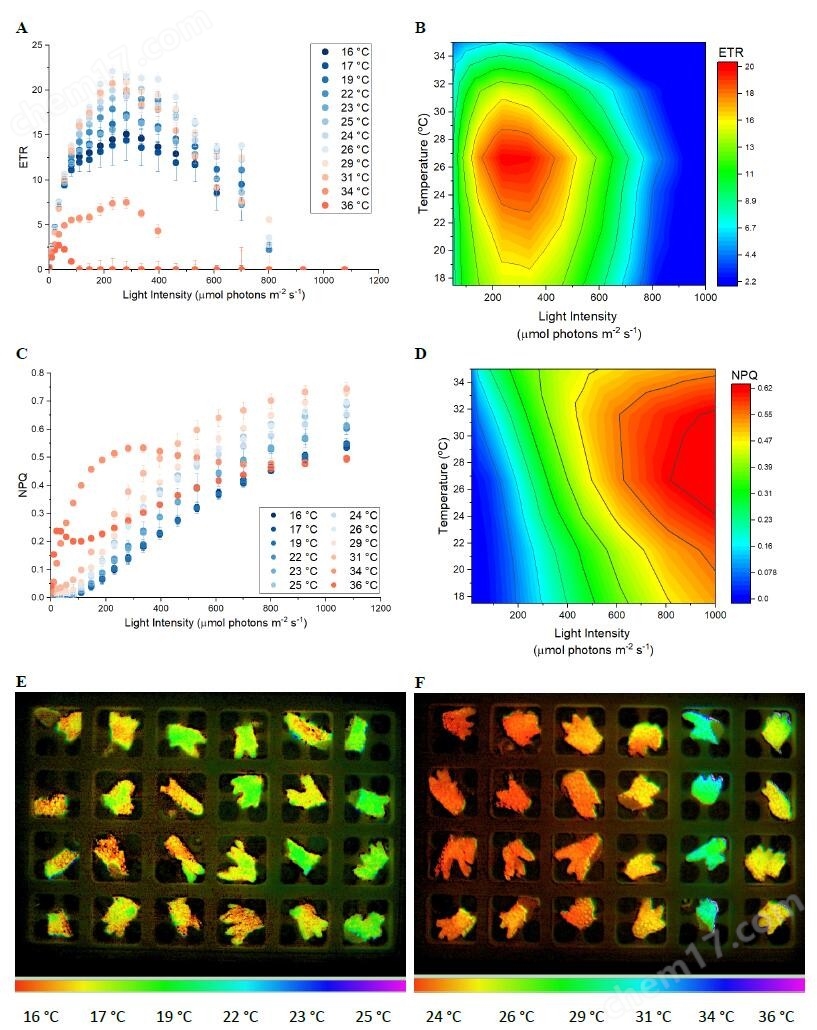 葉綠素?zé)晒獬上裣到y(tǒng)——M-IMAGING-PAM