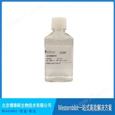 biotides 10×快速轉(zhuǎn)膜緩沖液2