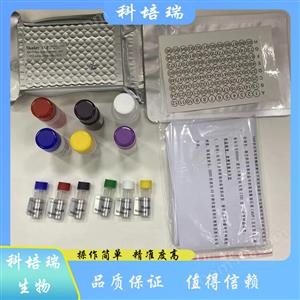 小鼠驅動蛋白輕鏈1(KLC1)elisa試劑盒KPR-H22028