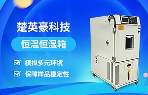 深圳市楚英豪科技有限公司