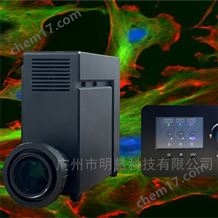 三波段LED熒光光源 MH-300-LEDS 多波長熒光