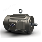 代理正品Reuland同步電機制動器電動機