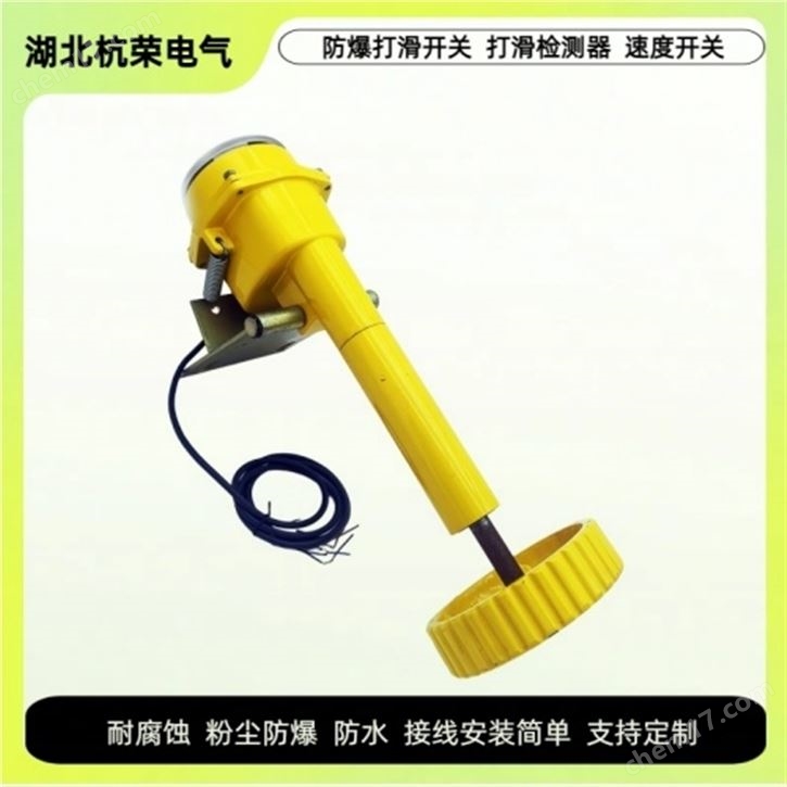 DEDK5-32打滑開關(guān) 帶速檢測(cè)裝置