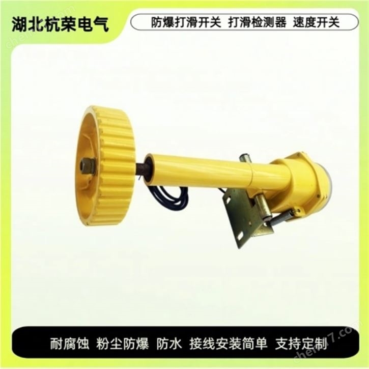 膠帶速度打滑開關(guān)BS3B-2-R485-TH