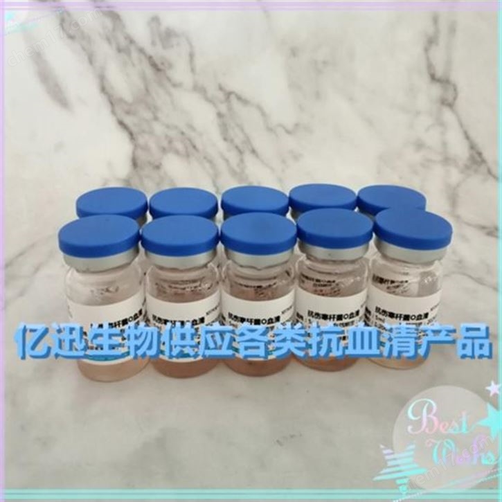 補(bǔ)體C3抗血清