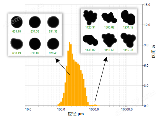 BeVision D3動態(tài)圖像粒度粒形分析儀