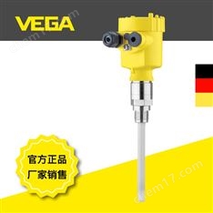 桿式電容物位計(jì)VEGACAL 63