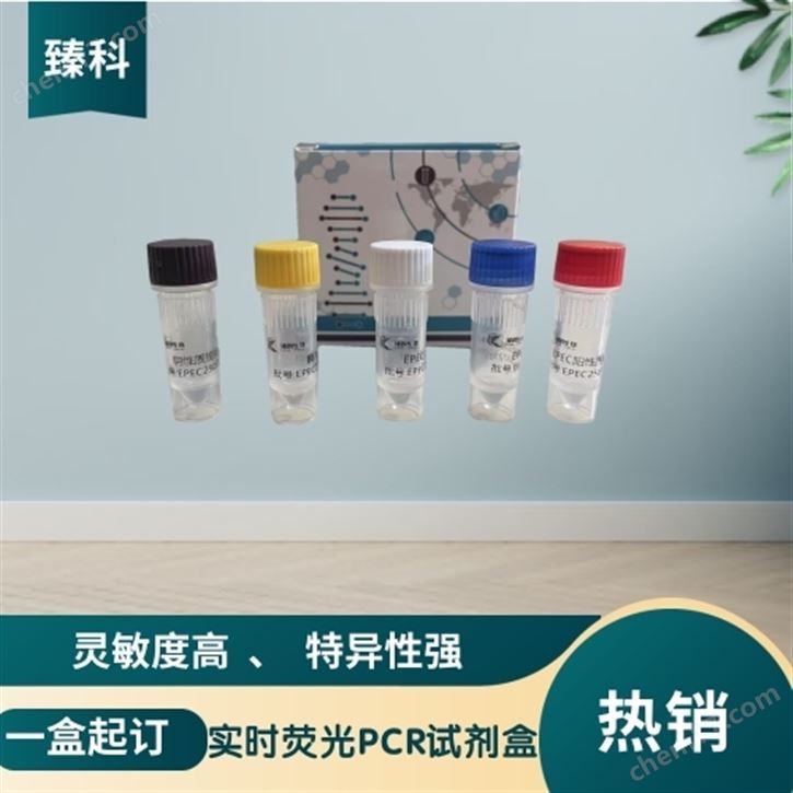 羊痘病毒PCR檢測試劑盒