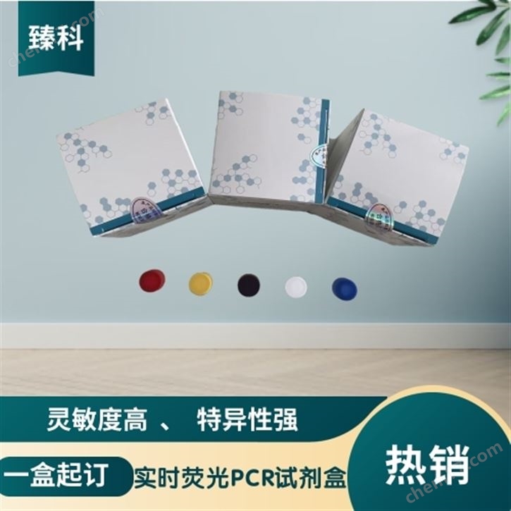 牛傳染性胸膜肺炎PCR檢測試劑盒