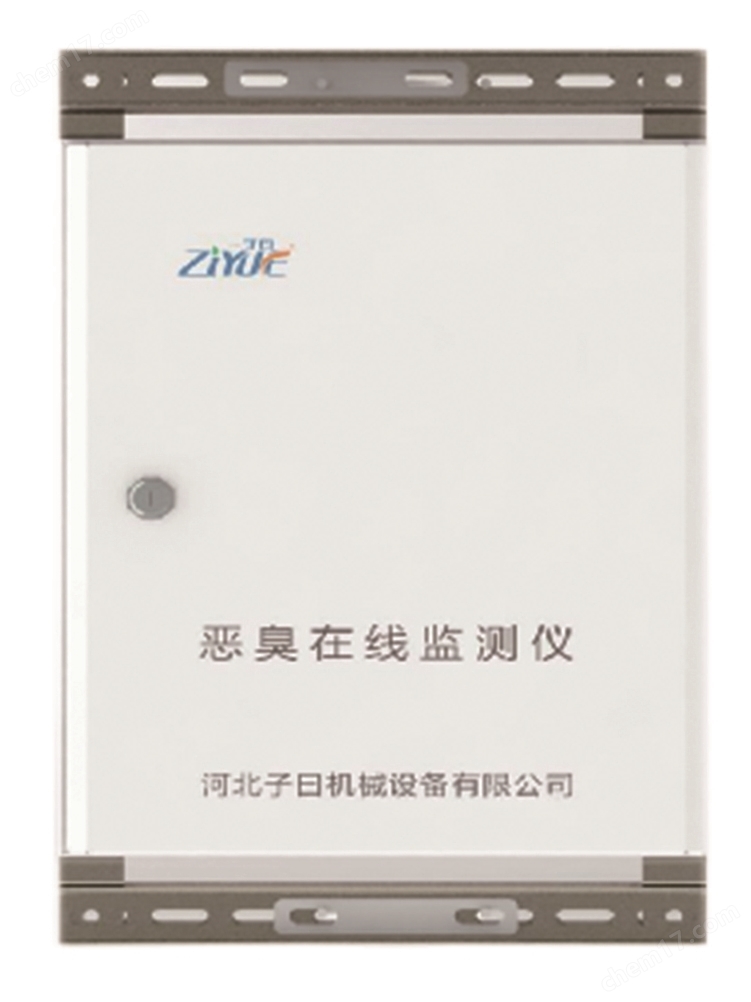 惡臭在線監(jiān)測儀