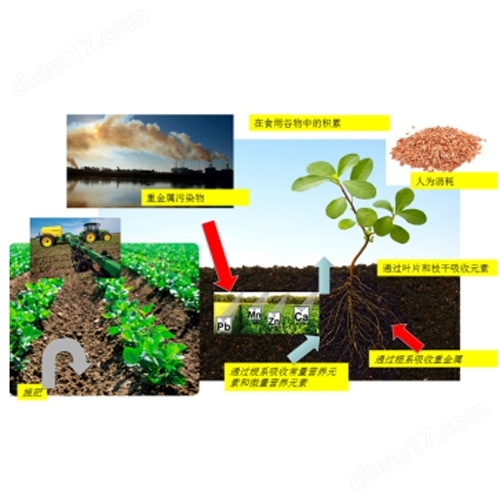 EcoChem 根系元素分布測量系統(tǒng)