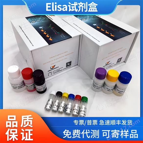 人DNA甲基化轉(zhuǎn)移酶3A(DNMT3A)ELISA試劑盒